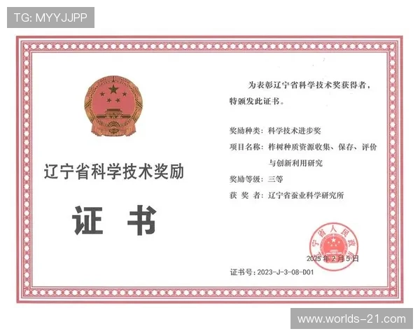 决胜21点算牌方法的最新研究成果与实战经验分享